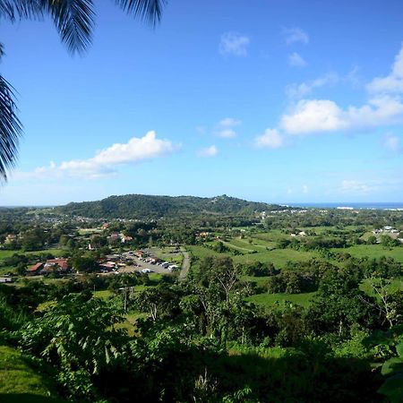 Rainforest & Ocean View Inn At Carabali Luquillo Exterior foto