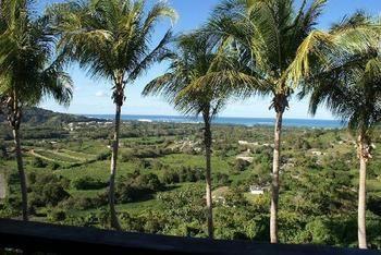 Rainforest & Ocean View Inn At Carabali Luquillo Exterior foto