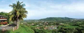 Rainforest & Ocean View Inn At Carabali Luquillo Exterior foto