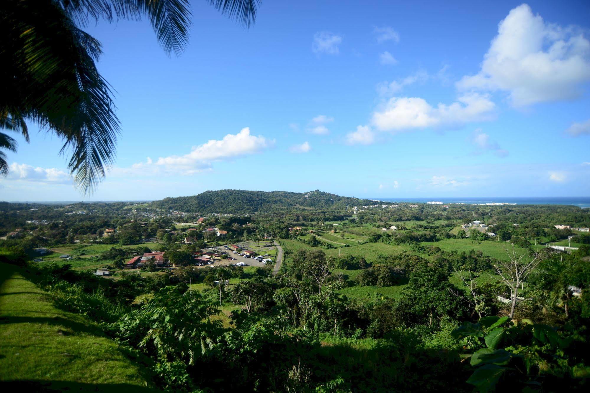 Rainforest & Ocean View Inn At Carabali Luquillo Exterior foto